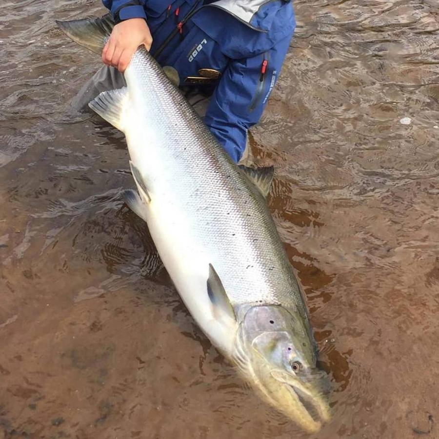 Jockfall Fishing And Activities - Oeverkalix Exterior photo
